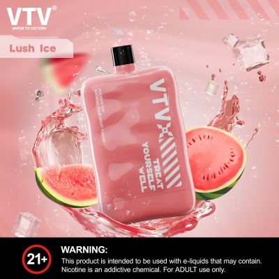 拋棄式電子煙品牌 VTV Flask 6